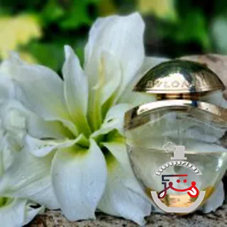 Bvlgari Pour Femme Bvlgari
